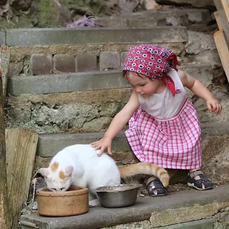 Farm stay Kieslinger Hilde